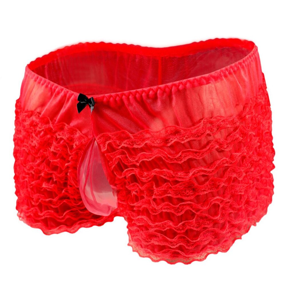Sissy Convex Pouch Panties Mens Lace Transparent Briefs(1 Set)